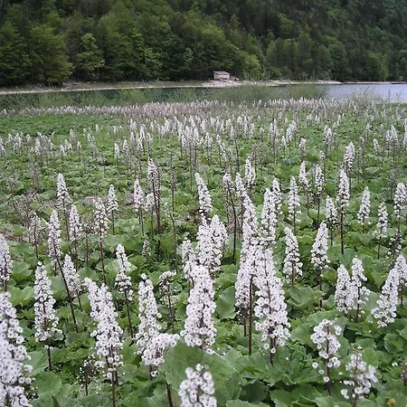 Botenwirt 3* Faistenau