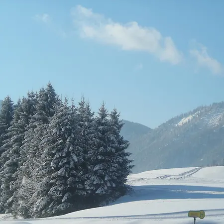 Guest house Gasthof Botenwirt 3*