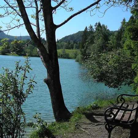 Guest house Gasthof Botenwirt