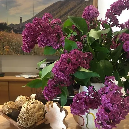 Gasthof Botenwirt Guest house 3*